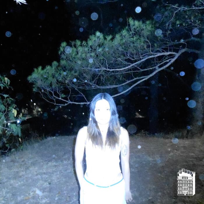 cover artwork of MONA ROWEY / PENSIF / HOTEL BERLIN - PALO SANTO